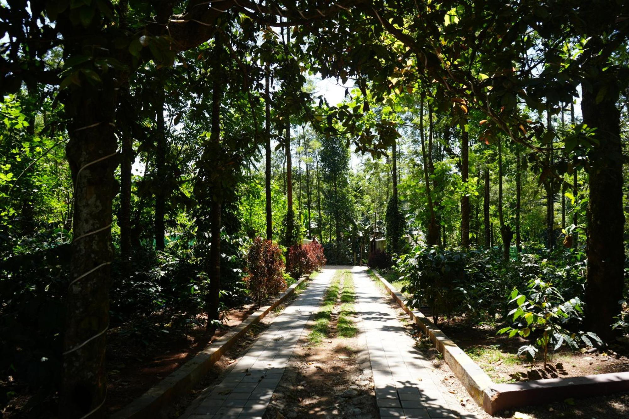 Silver Springs Homestay Chickmagalur จิกมากาลูร์ ภายนอก รูปภาพ
